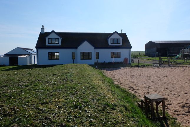 Thumbnail Detached house for sale in Bower, Wick