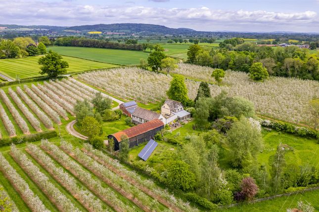 Dji_0252-2.Jpg