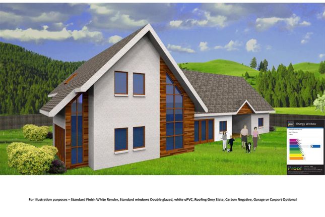Dormer Jpg.Jpg