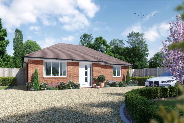 Thumbnail Bungalow for sale in Albert Road, New Milton, Hampshire