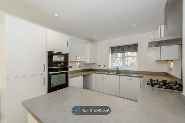 Ground Floor - Kitchen