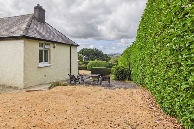 Wood Park, Bittaford, Ivybridge photo 4