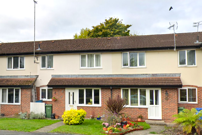 Thumbnail Terraced house to rent in Kingfisher Close, Farnborough