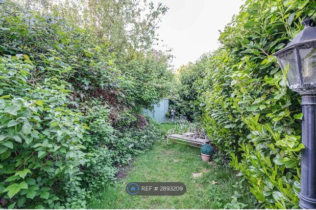 Morrab Gardens, Ilford photo 3
