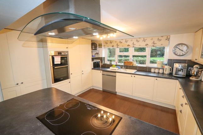 Rose Cottage, Stunts Green, Herstmonceux photo 3