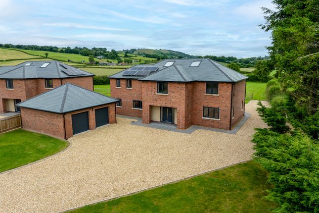 Thumbnail Detached house for sale in Cae Garreg, Trefeglwys, Caersws, Powys