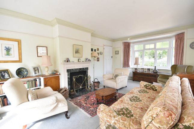 24, Limes Avenue, Surrey photo 4