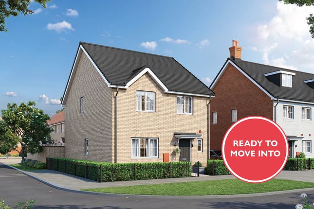 The Mylne_Haddon Green_Ready To Move Into