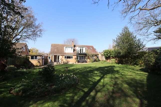6, Rose Acre, Holton St. Mary photo 2