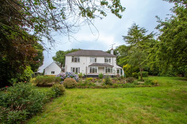 Thumbnail Detached house for sale in West Hill, Ottery St. Mary