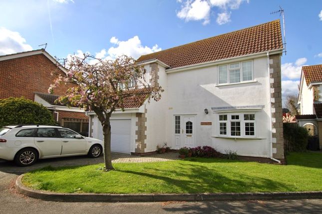 Thumbnail Detached house for sale in White Acre Drive, Walmer, Deal