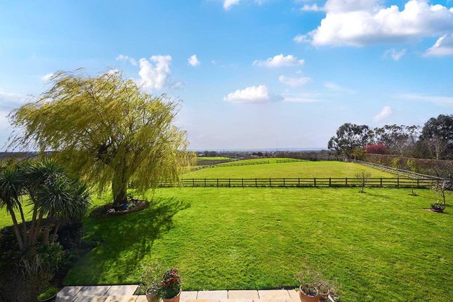 Weald Cottage, Amsbury Farm, East Street, Maidstone photo 2
