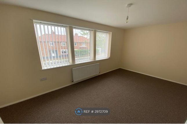 Penistone Road, Middlesbrough photo 5