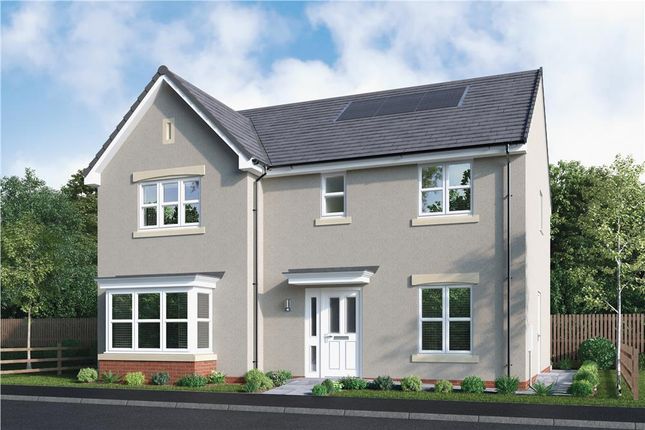 Thumbnail Detached house for sale in "Castleford" at Borrowstoun Road, Bo'ness