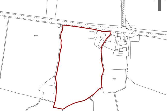 Maesgolau Land.Jpg