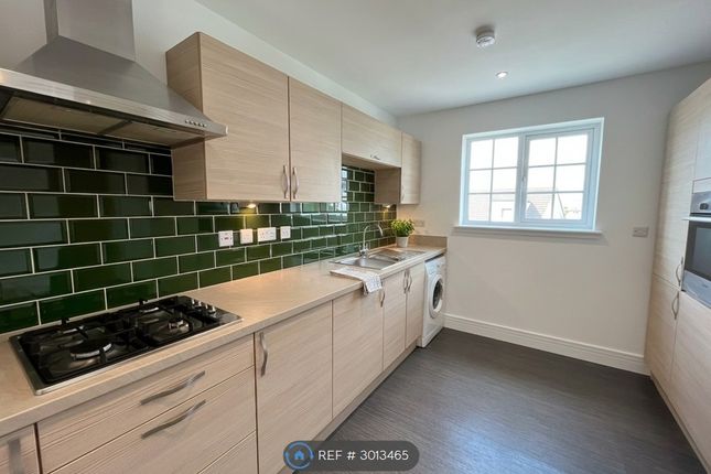 Flat, Crown Crescent, Larbert photo 3