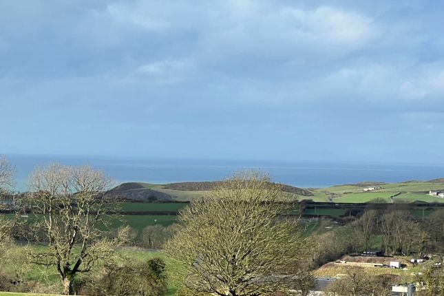 Bryngog, Nebo, Llanon photo 4