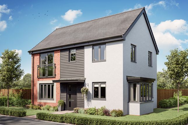 Thumbnail Detached house for sale in "The Barnwood Bay " at Shipley Mews, Hampton Gardens, Peterborough