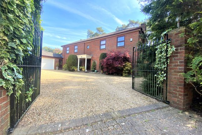 Detached house for sale in Davids Lane, Ringwood
