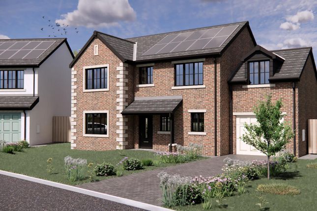 Plot 26