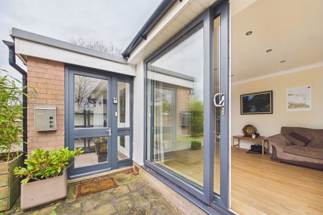 Orinoco, Hall Lane, Ormskirk photo 3