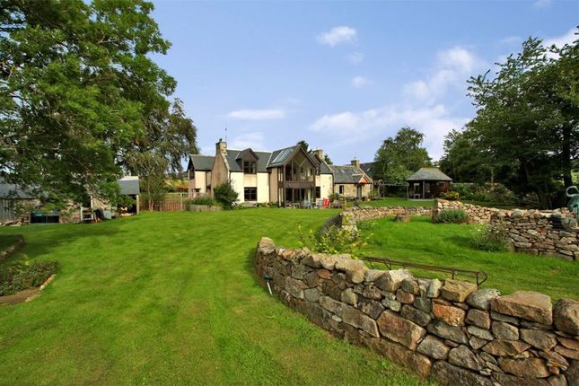 Thumbnail Cottage for sale in Torphins, Banchory