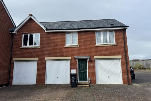 Thumbnail Property to rent in Webbers Way, Tiverton