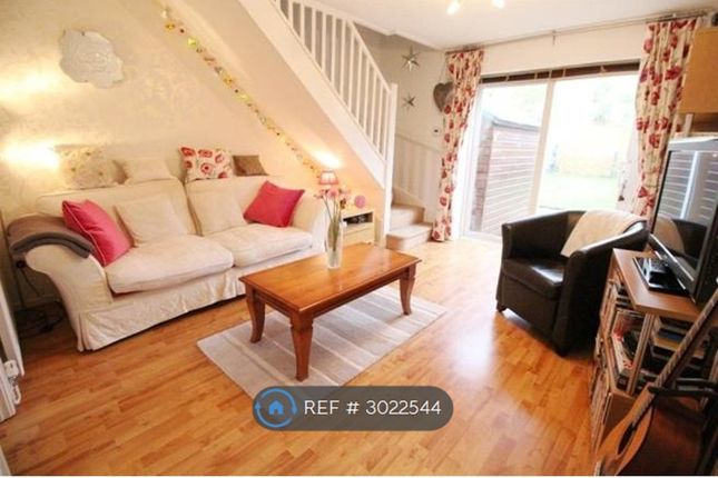 Bryn Haidd, Pentwyn, Cardiff photo 3