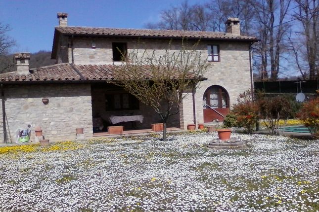 Thumbnail Farmhouse for sale in Niccone Valley, Lisciano Niccone, Perugia, Umbria, Italy
