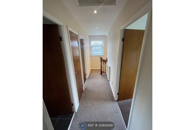 Corsair, Whickham, Newcastle Upon Tyne photo 2