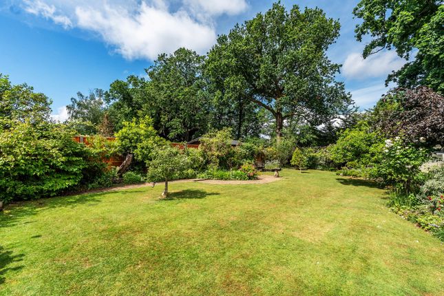 59, Merrow Woods, Surrey photo 4