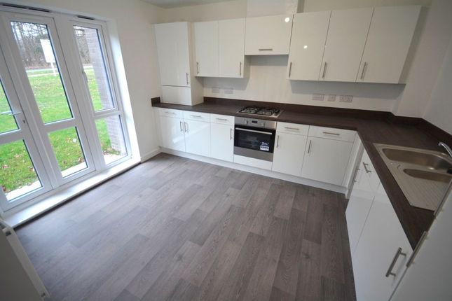 4 Shiell Heights, Durham photo 4