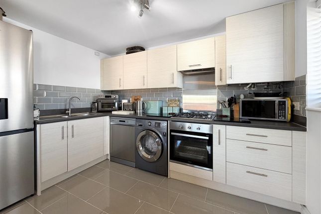 Chicory Close, Newton Abbot photo 4