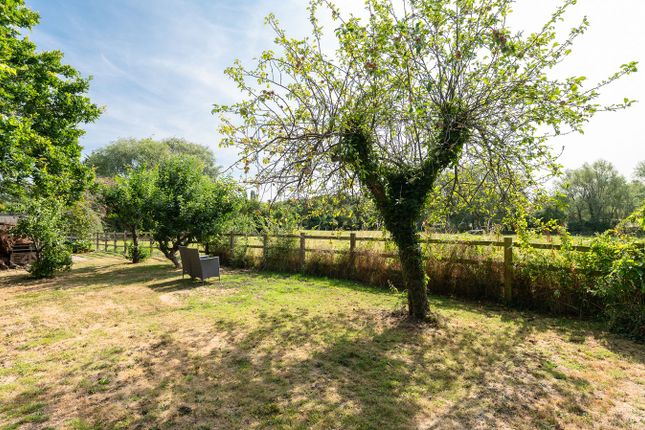 Bull Barn, Silver Street, Stevington, Bedfordshire (with Garden Studio) photo 4