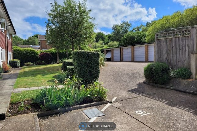 Lewins Road, Epsom photo 2