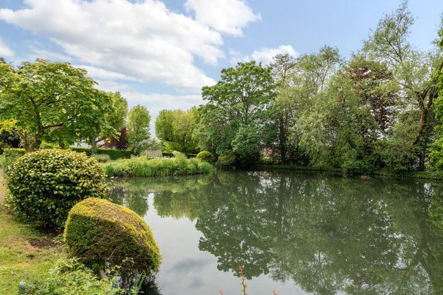 18, Baxendale, London photo 3