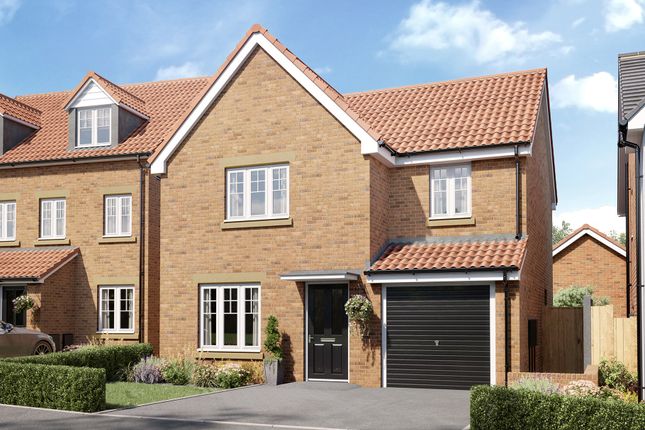 Thumbnail Detached house for sale in "The Rivington" at Welbeck Road, Bolsover, Chesterfield