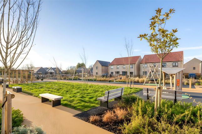 Plot 318 The Herdsman,, Springstead Village, Cambridge photo 3