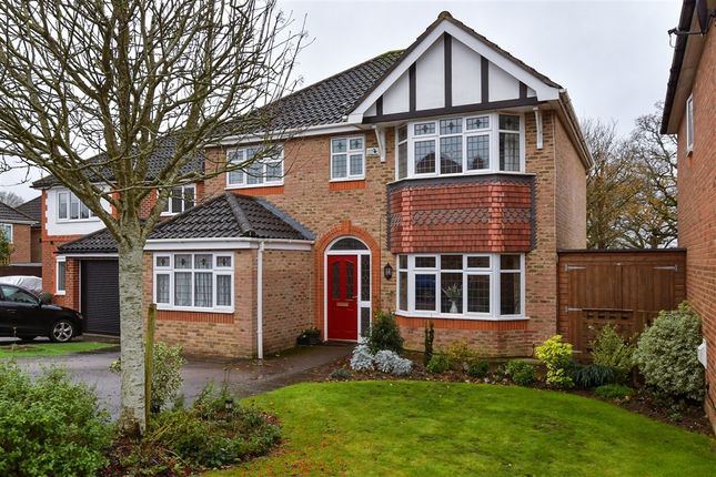 Lucilla Avenue, Ashford photo 2