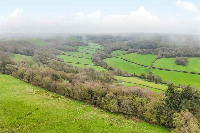 Land for sale in Hatway Hill, Sidbury, Sidmouth