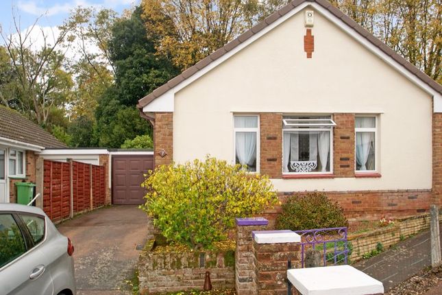 Thumbnail Detached bungalow to rent in St. Lawrence Crescent, Exeter