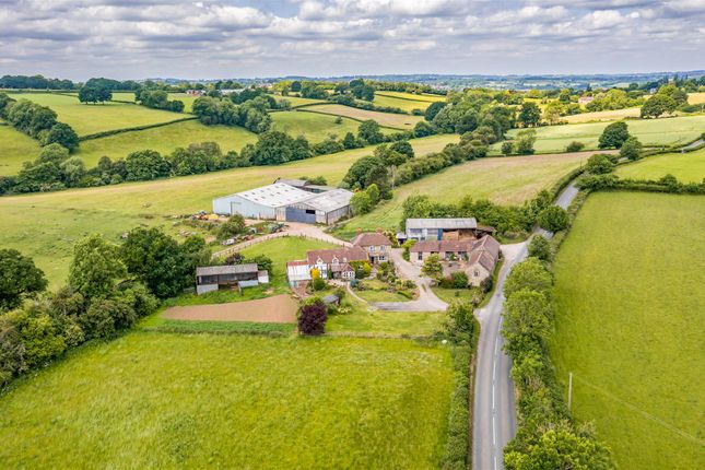 Dji_0673-Edit.Jpg