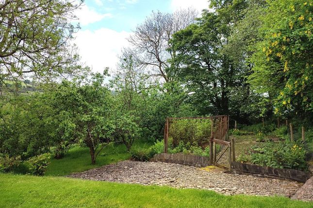 Fruit Cages And Gardens
