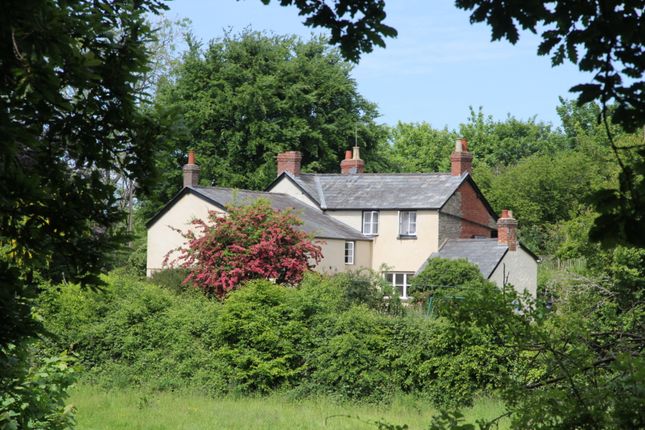 Thumbnail Cottage for sale in Forest Green, Howle Hill, Ross-On-Wye