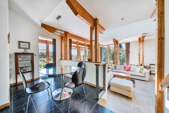 Kitchen/Living Area