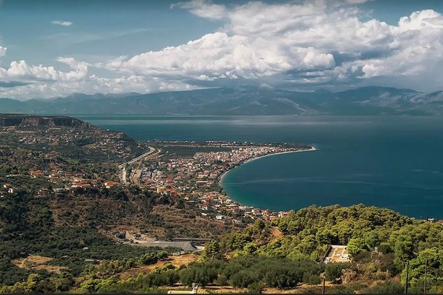 Land for sale in Mykonou &amp; Thessalias, Aigialeia, Achaea, Western Greece
