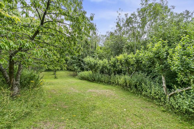 Wayback, Luxted Road, Orpington photo 3