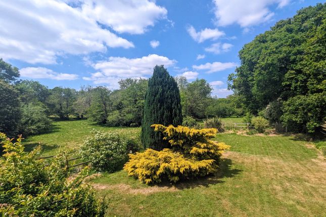Yew Tree,, South Sway Lane, Lymington photo 3