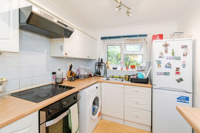 42, Winchester photo 3