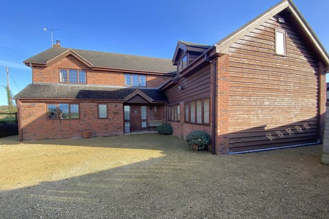 Thumbnail Detached house to rent in Ullingswick, Hereford